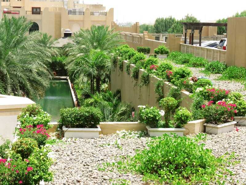 Emirates Landscape